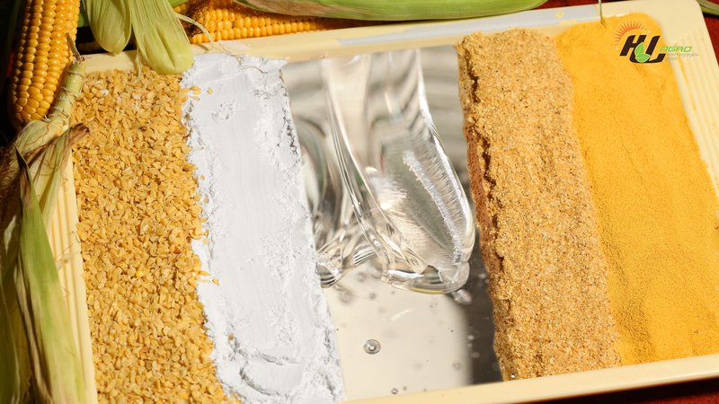 Corn starch & derivative products